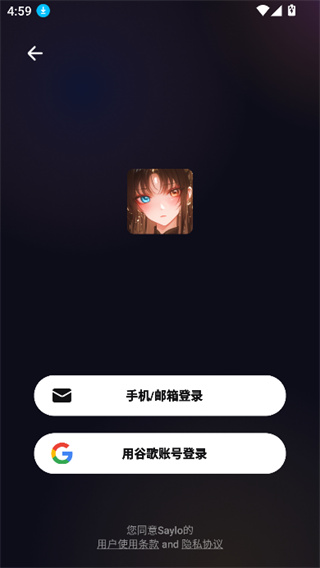 Saylo AI 私密空间产品界面